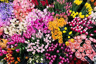 被取消的《泰坦天降：传奇》灵感来自《毁灭战士：永恒》