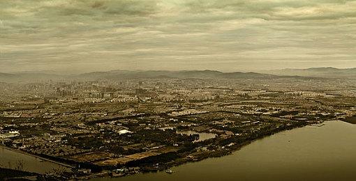 玩家吐槽《马车：世界》都25年了任天堂还没理解多人游戏